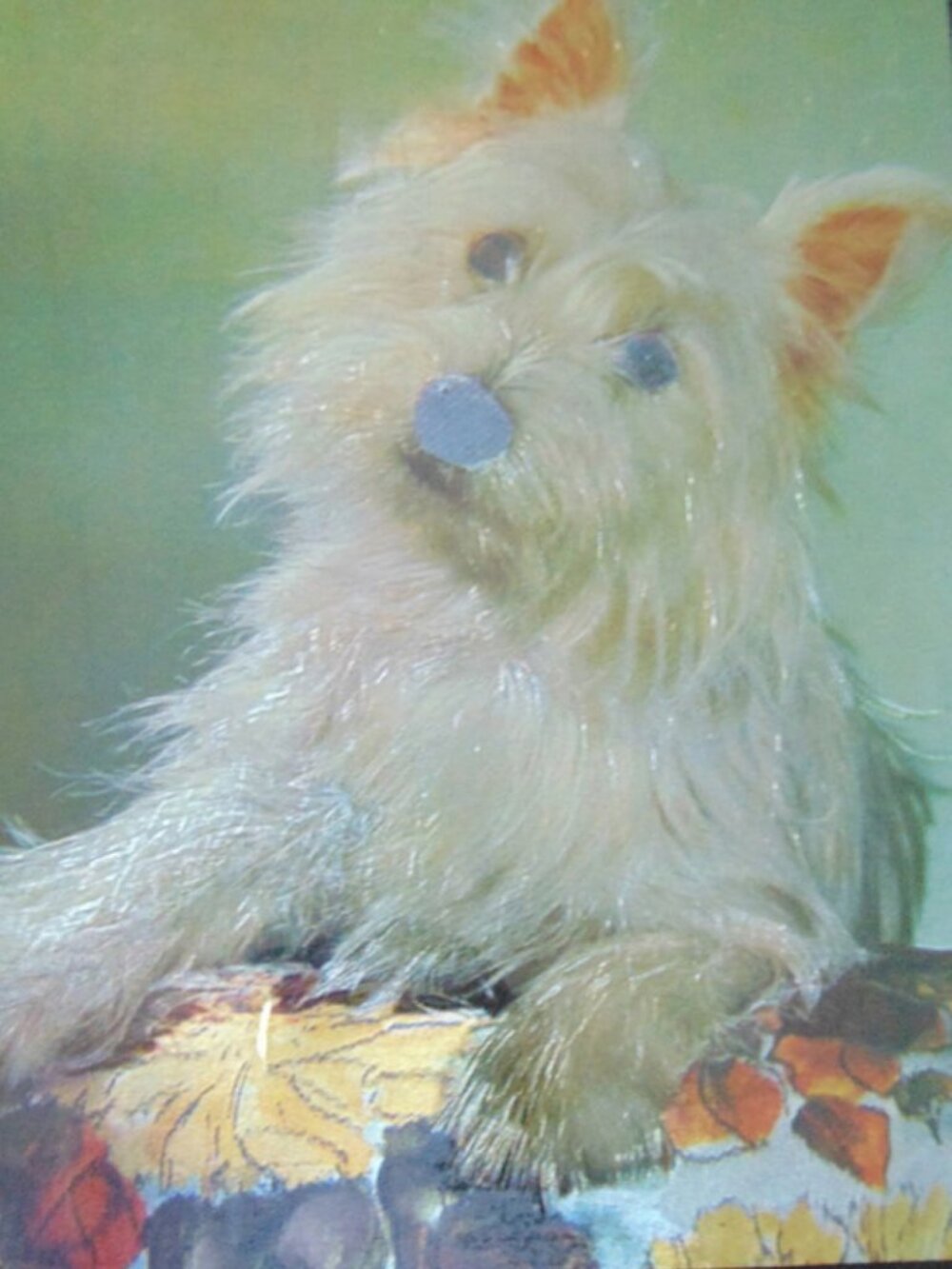 Picture of a Silver Scotty Dog